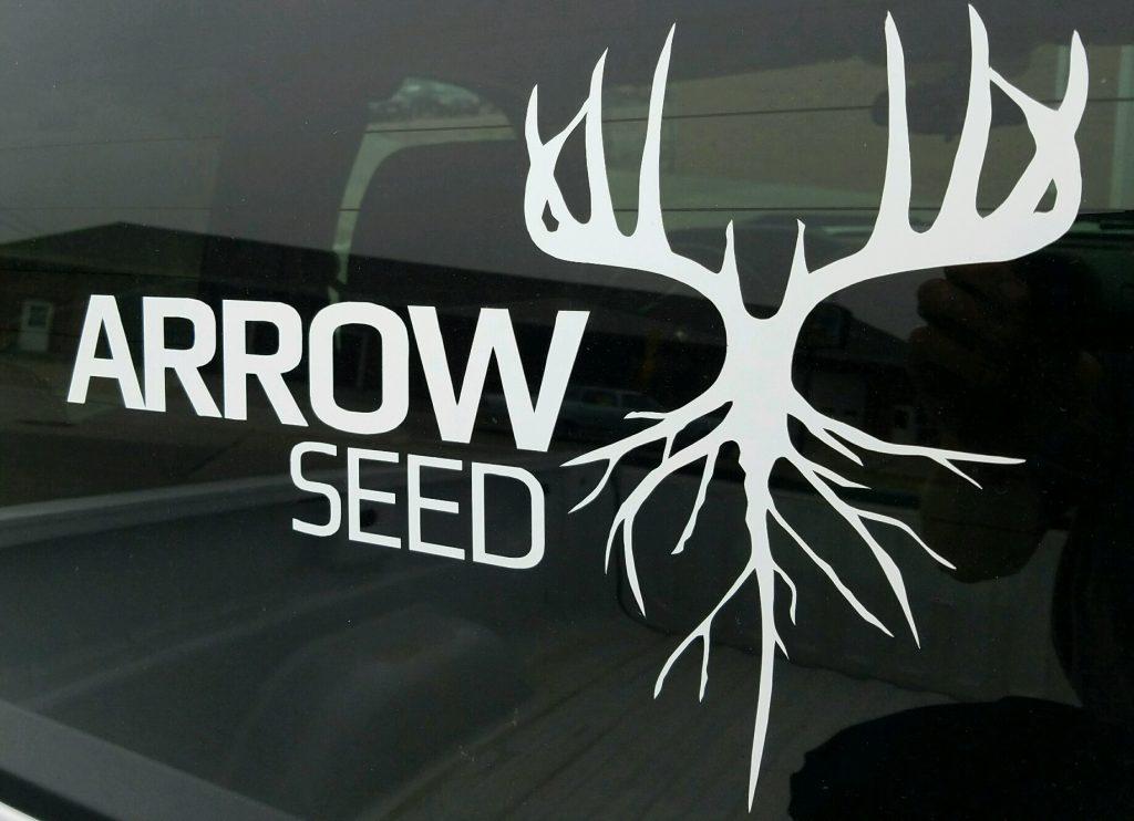 Arrow Seed